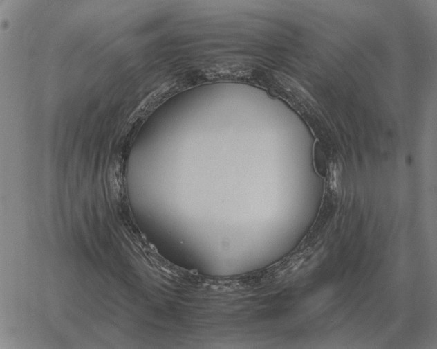 X0000061720915200512231404