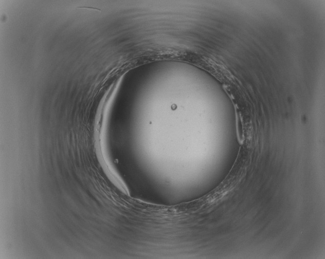 X0000061720916200512231404