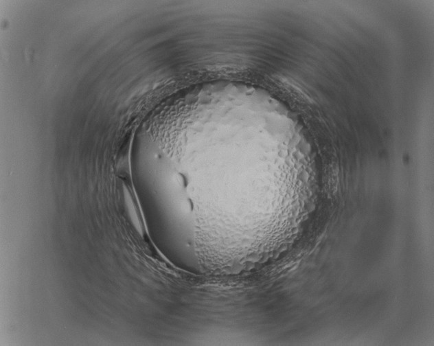 X0000061720917200512231404