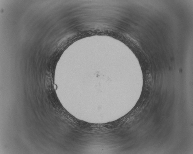 X0000061720918200512231404