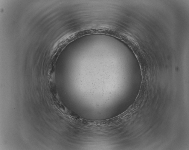 X0000061720920200512231404