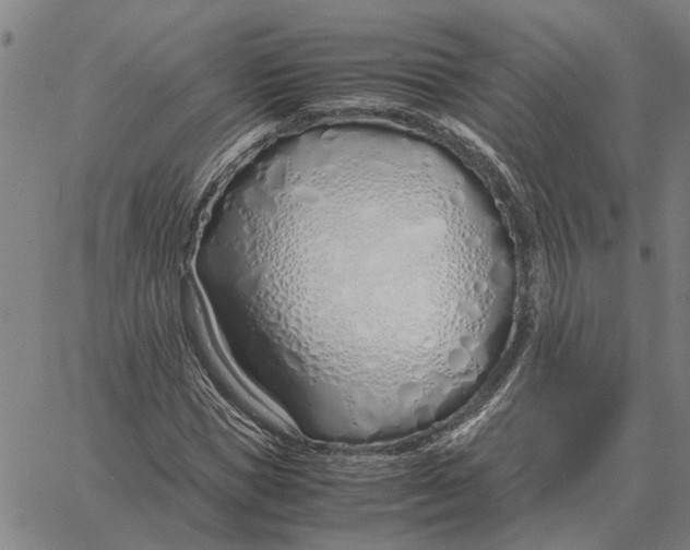 X0000061720921200512231404