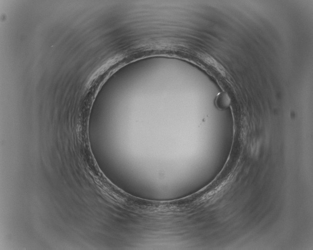 X0000061720922200512231404