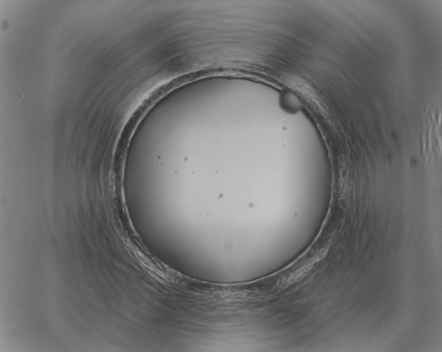 X0000061720924200512231404