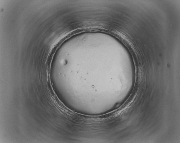 X0000061720925200512231404