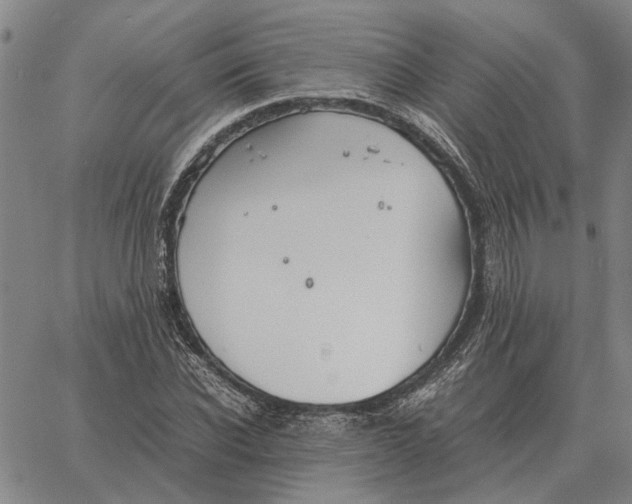 X0000061720926200512231404