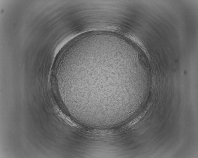 X0000061720928200512231405