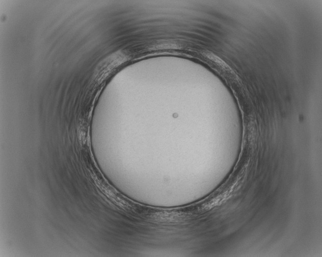 X0000061720929200512231405