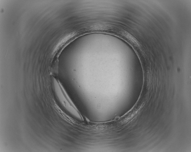 X0000061720930200512231405