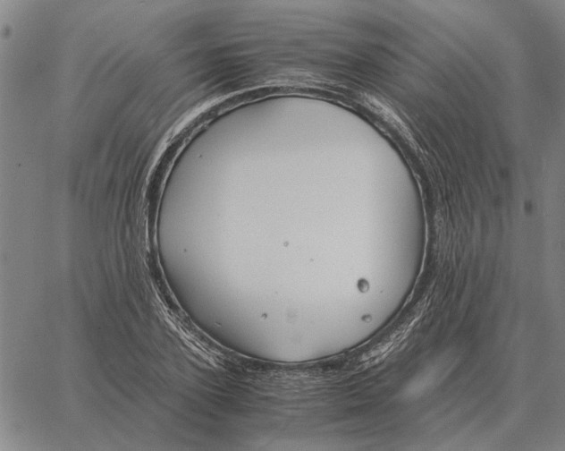 X0000061720931200512231405