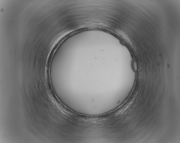 X0000061720932200512231405