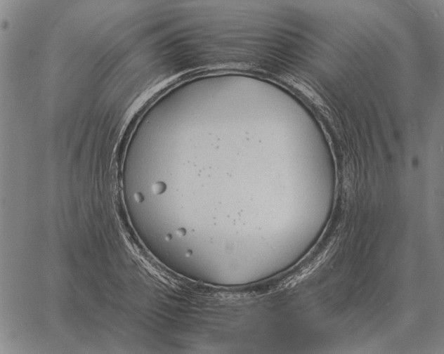 X0000061720933200512231405