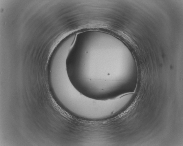 X0000061720934200512231405