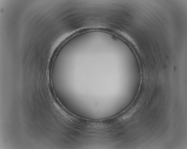 X0000061720935200512231405