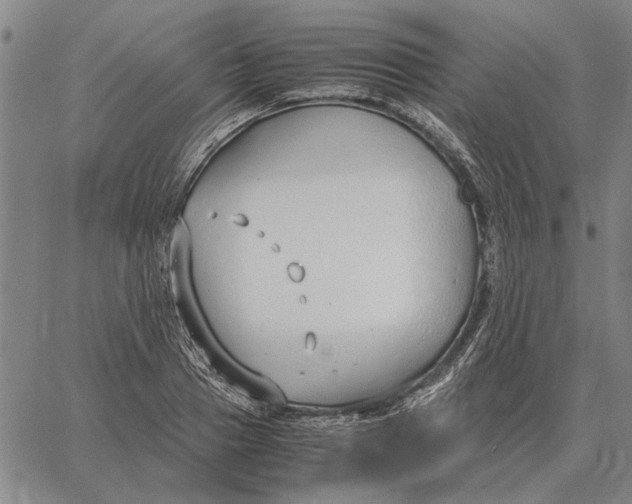 X0000061720937200512231405