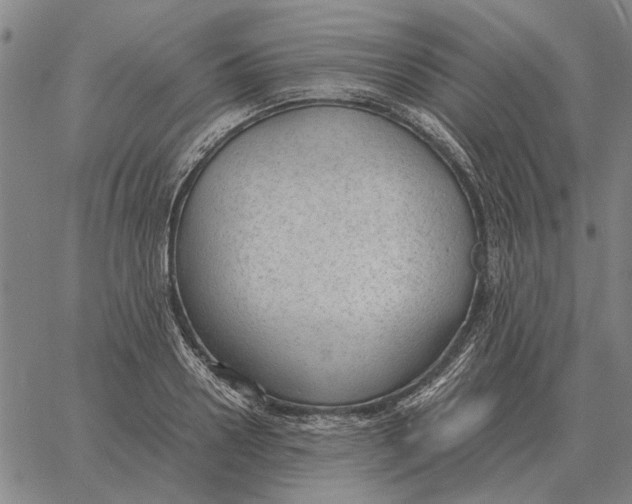 X0000061720938200512231405