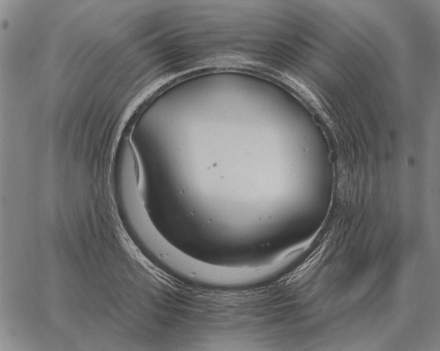 X0000061720939200512231405