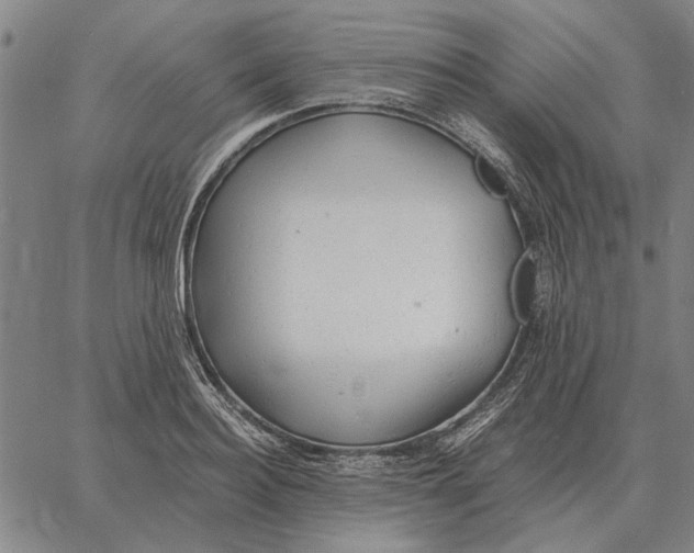 X0000061720940200512231405