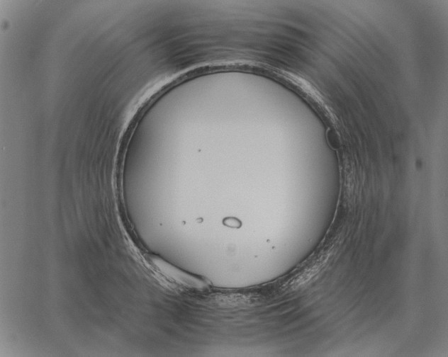 X0000061720943200512231405