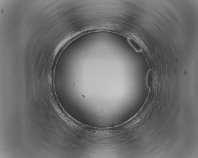 X0000061720944200512231405