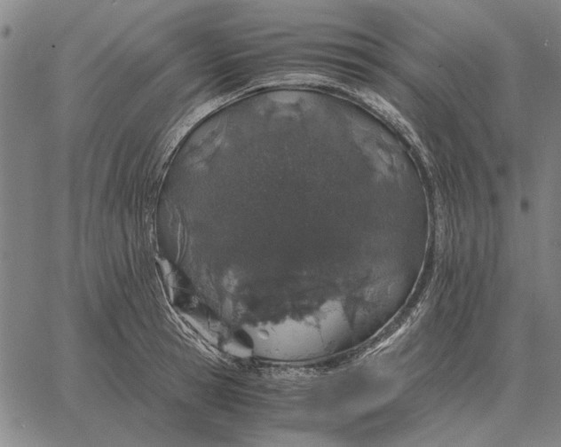 X0000061720945200512231405