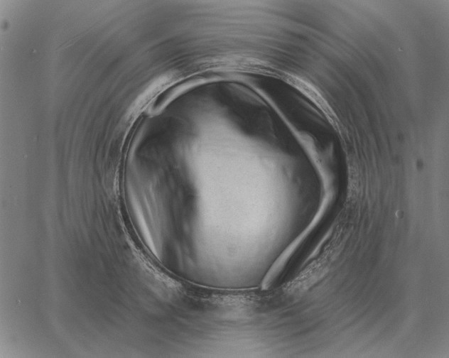 X0000061720946200512231405