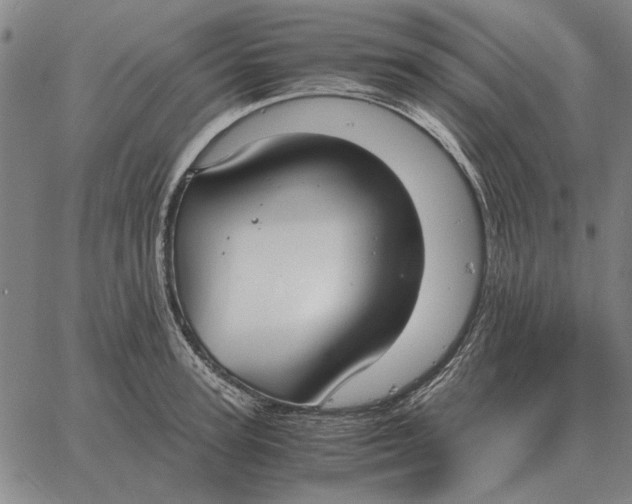 X0000061720947200512231405