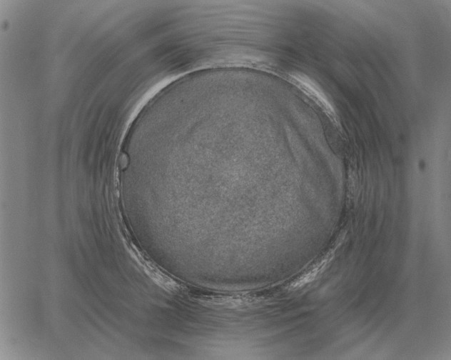 X0000061720948200512231405