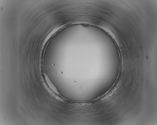 X0000061720949200512231405