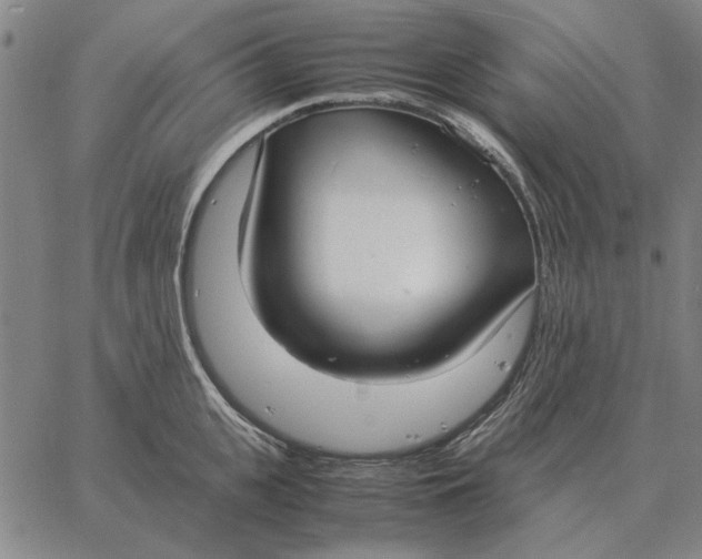 X0000061720951200512231405