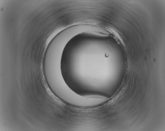 X0000061720952200512231405