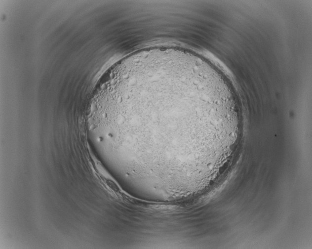 X0000061720953200512231405