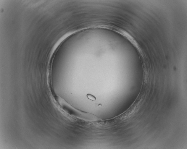 X0000061720955200512231405