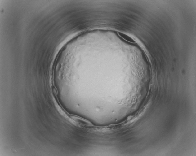 X0000061720957200512231405