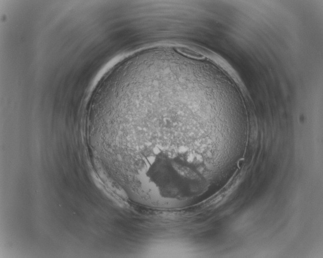 X0000061720958200512231405