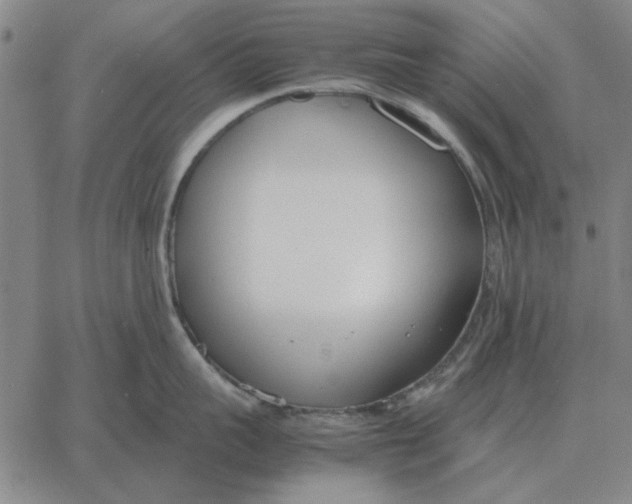 X0000061720959200512231405