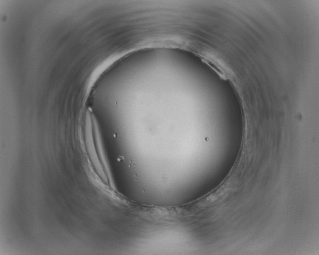 X0000061720960200512231405