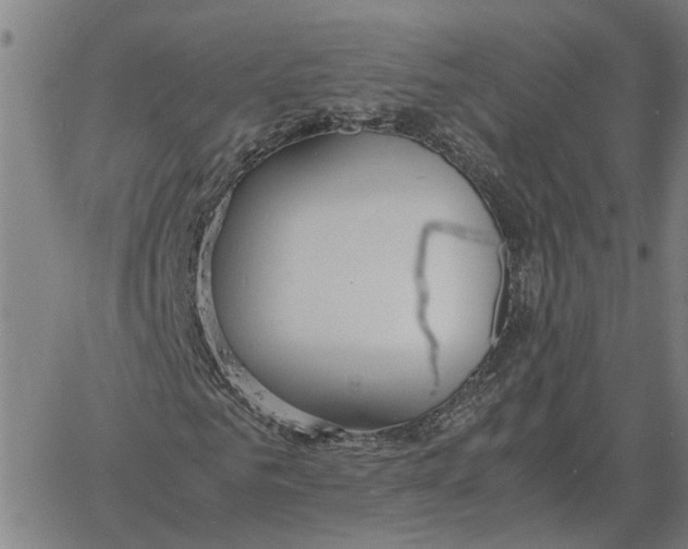 X0000061720961200512231404