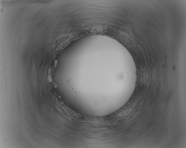 X0000061720962200512231404