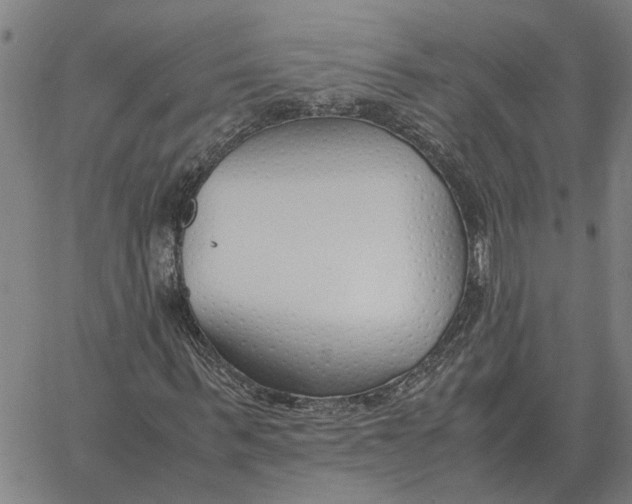 X0000061720963200512231404