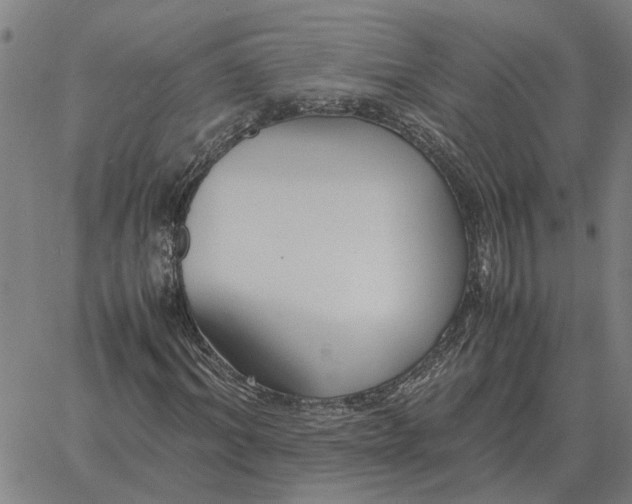 X0000061720964200512231404