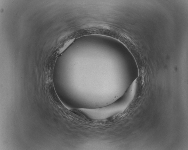 X0000061720965200512231404