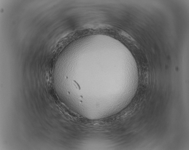 X0000061720966200512231404