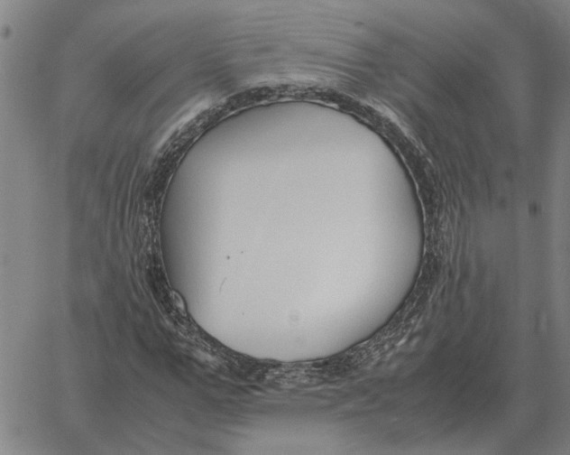 X0000061720967200512231404