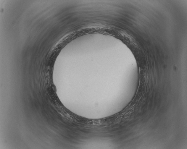 X0000061720968200512231404