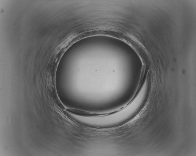 X0000061720969200512231404