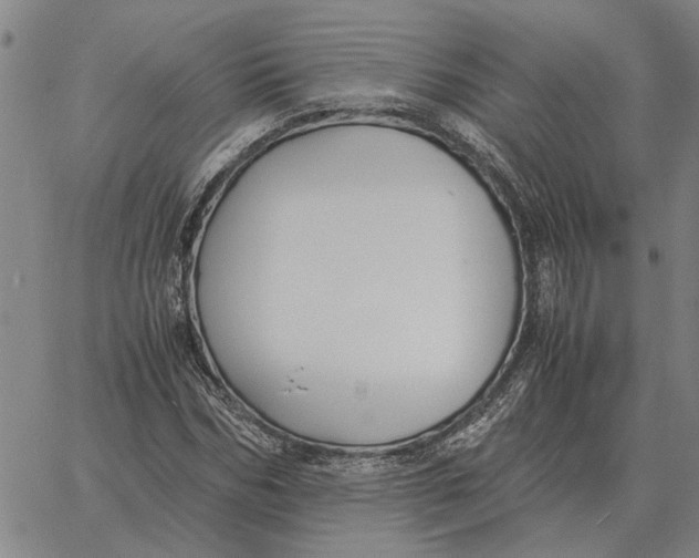 X0000061720970200512231404