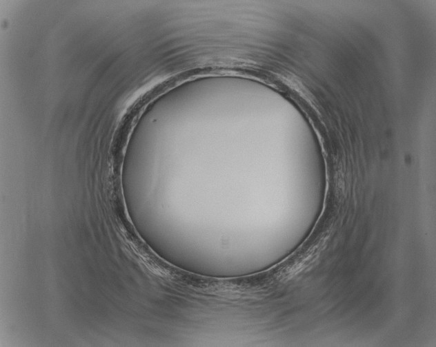 X0000061720971200512231404