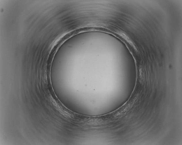 X0000061720972200512231404