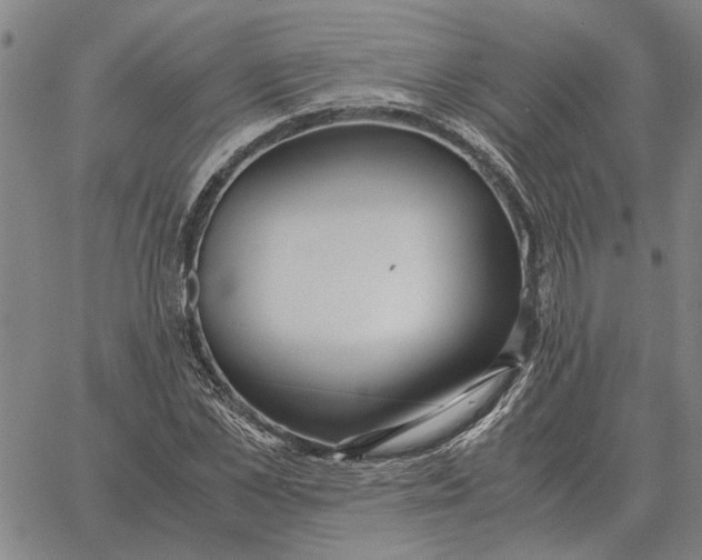 X0000061720973200512231404